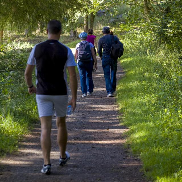 Balade dans les sous bois vers le lac de Lourdes