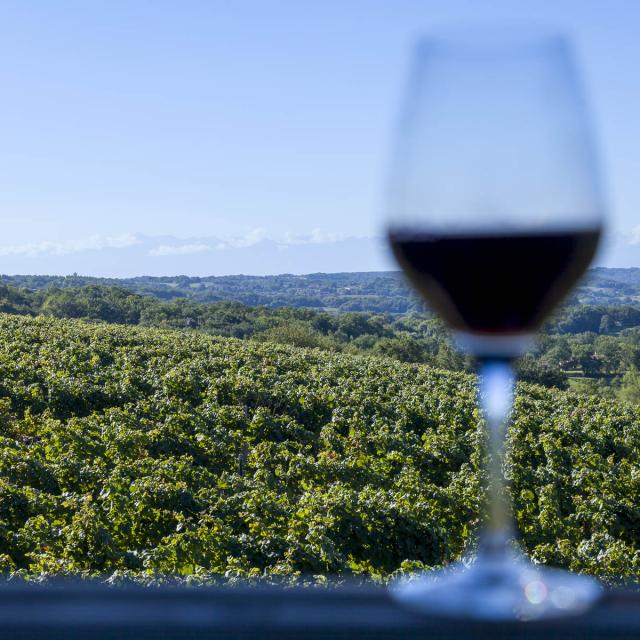 Côteaux de Madiran