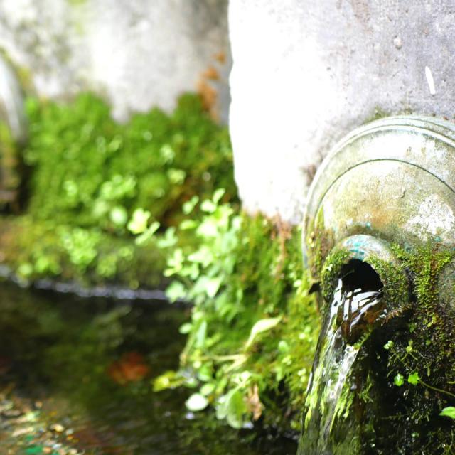 Fontaine des 3 becs à Lourdes