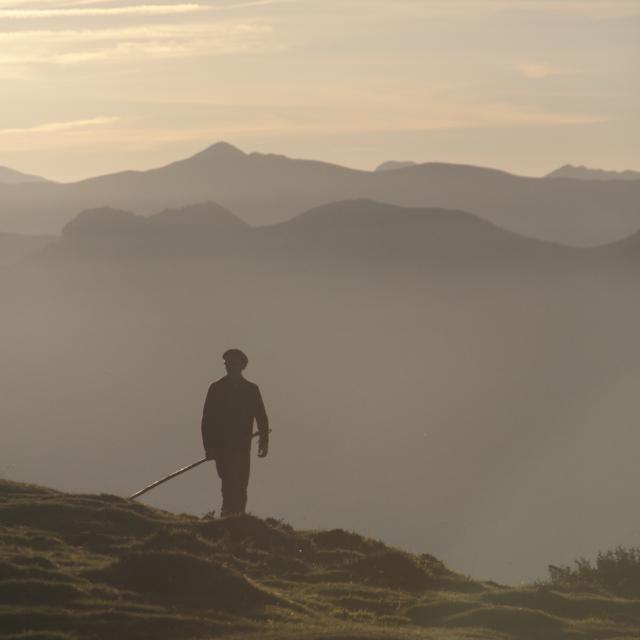 Berger Massif Du Pibeste