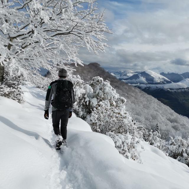 Pibeste neige
