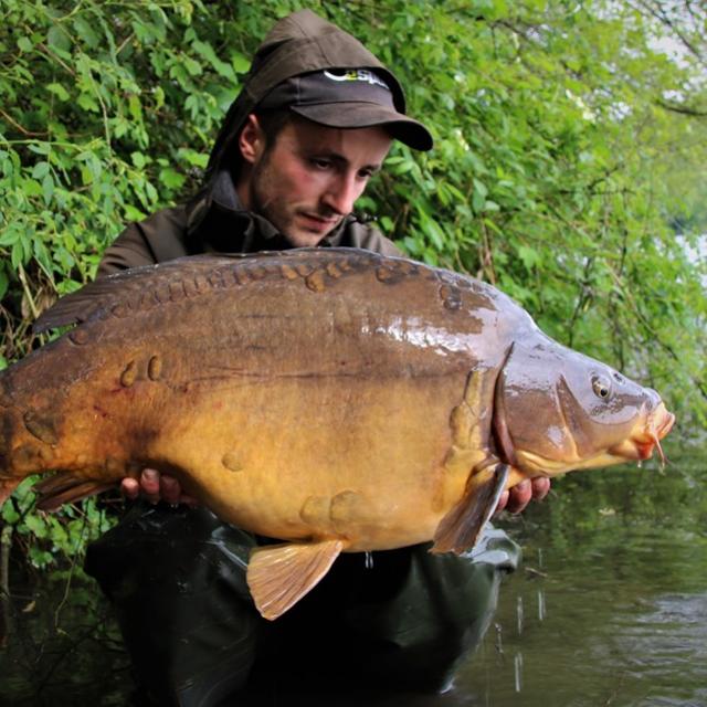 Pêche carpe 12kg