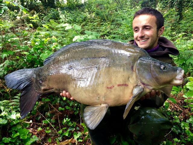 Pêche carpe 14 Kg