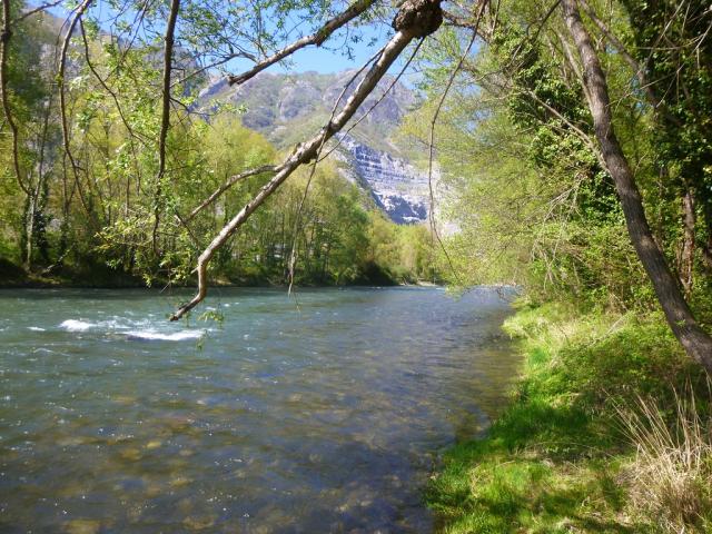 Les berges du Gave de Pau à Lourdes