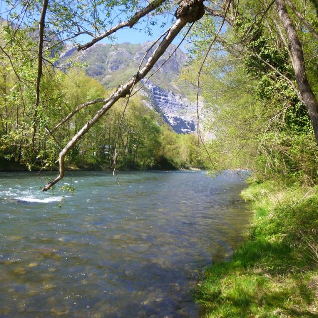 Les berges du Gave de Pau à Lourdes