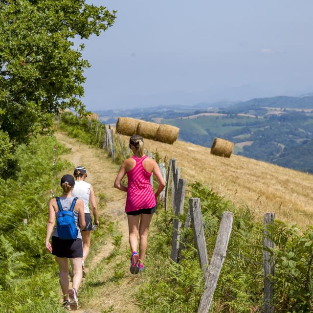 Course à pied et marcheurs sur le chemin Henri IV