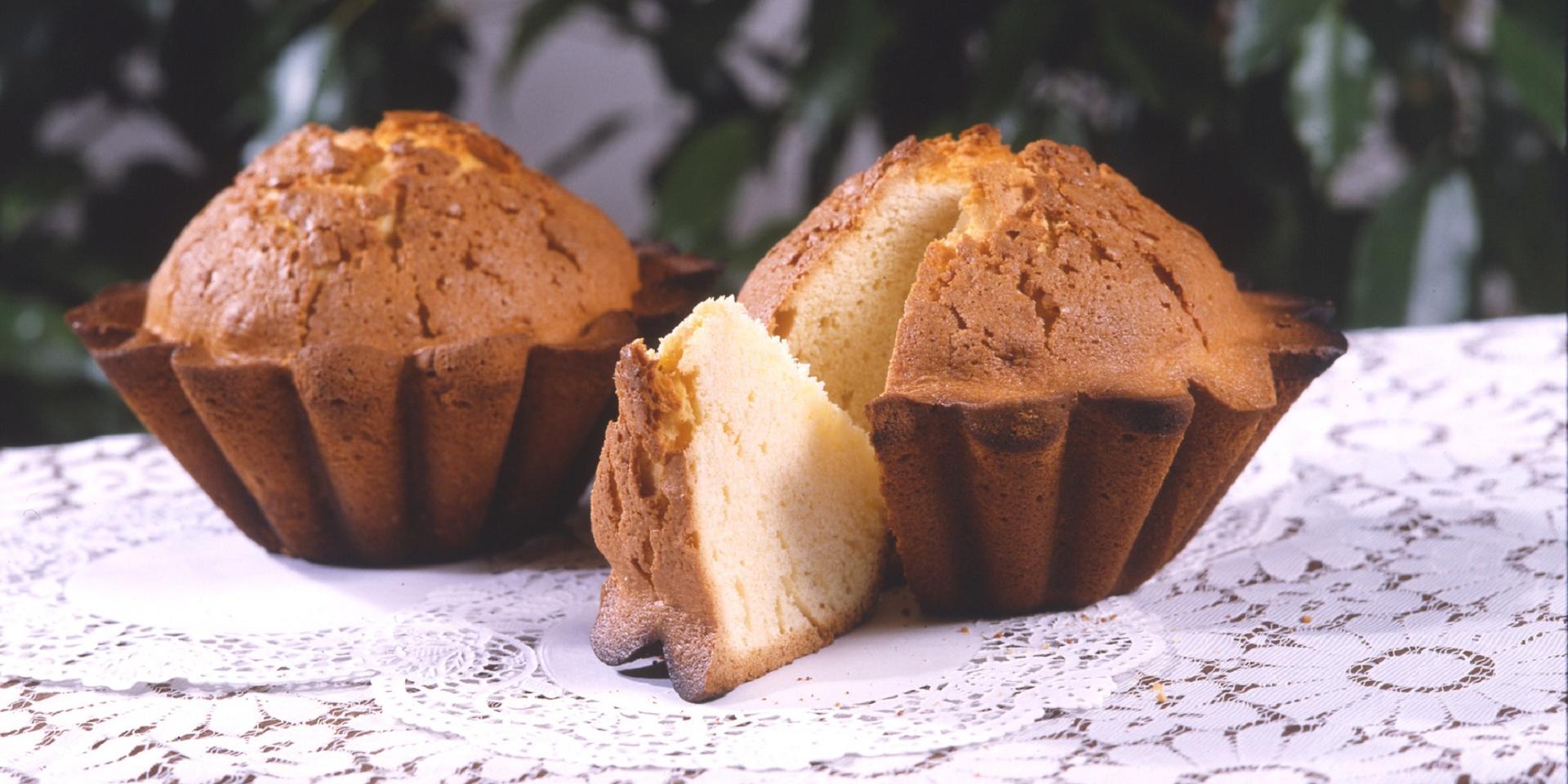 Tourte Des Pyrenees Hpte Alix 001