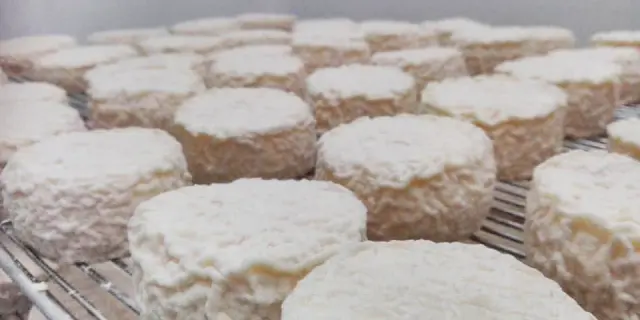 Crottin de chèvre