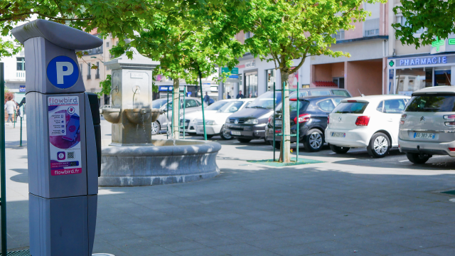 Parking Payant