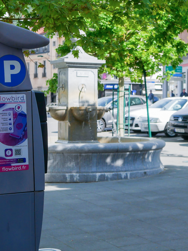 Parking Payant