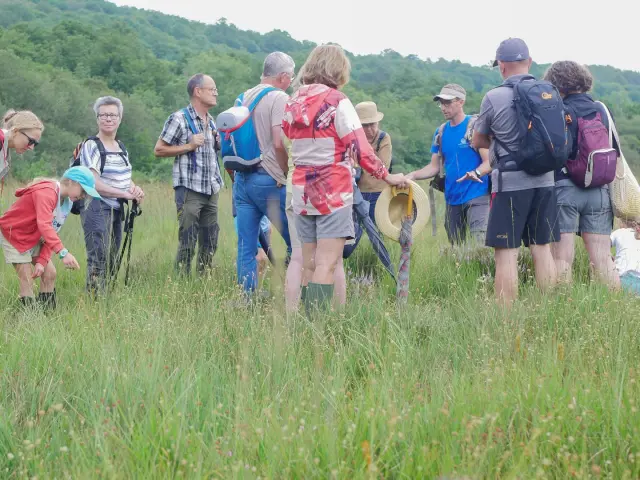 Groupe en visite tourbiere du lac de Lourdes