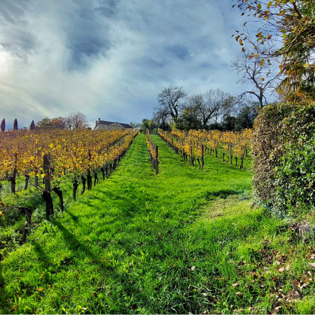 Domaine Et Vignes Otlourdes Automne 2023