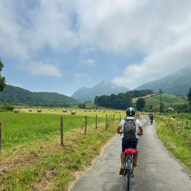 Balade à vélo sur la V81