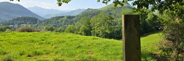 Tour De Baloum Juin 2025 Otlourdes