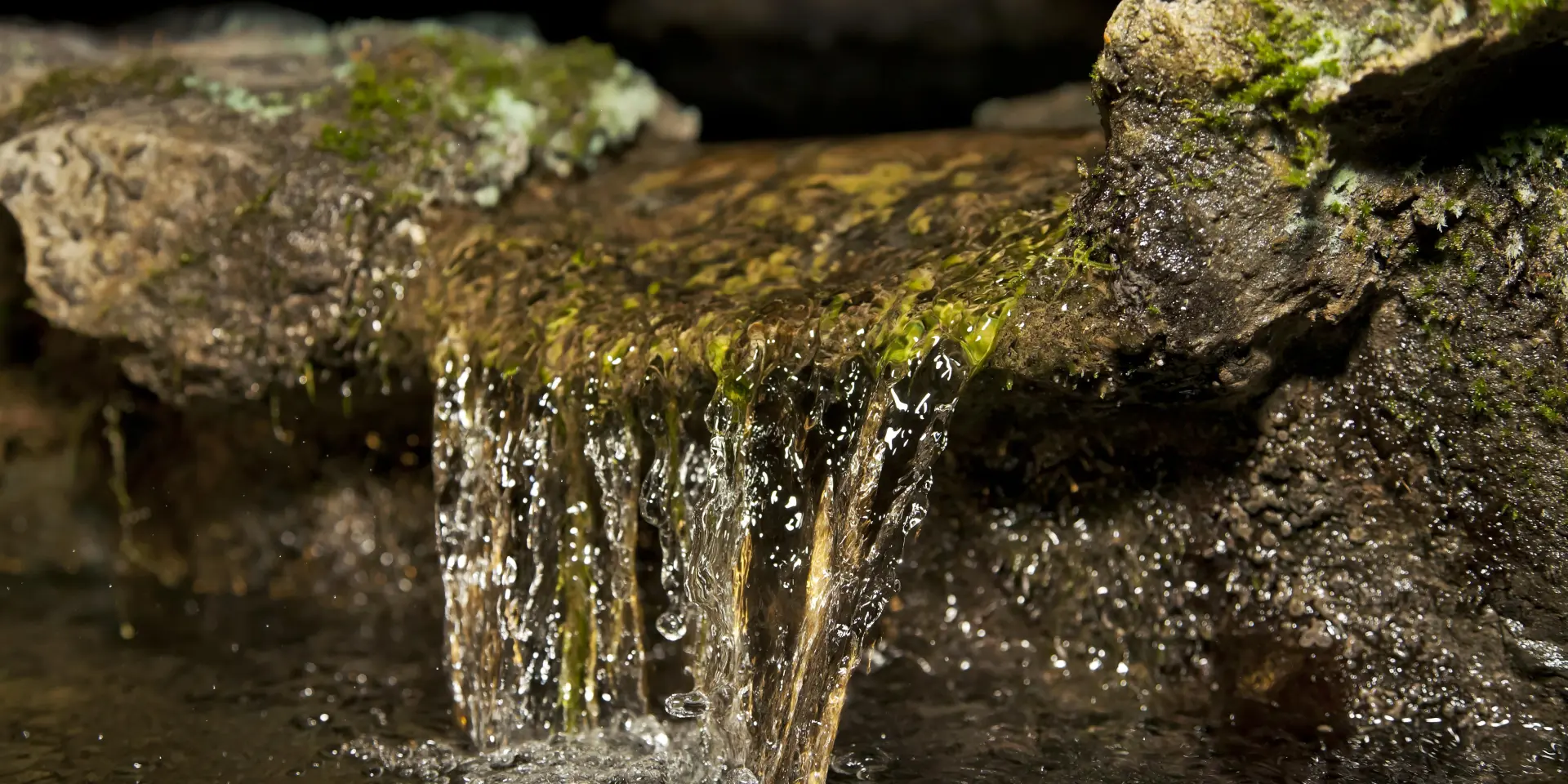 Source de la Grotte de Lourdes