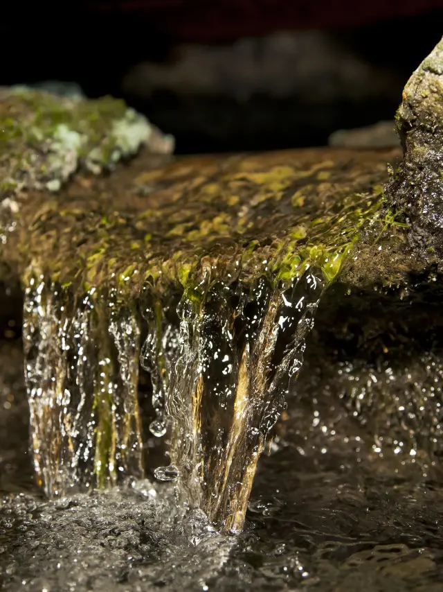 Source de la Grotte de Lourdes