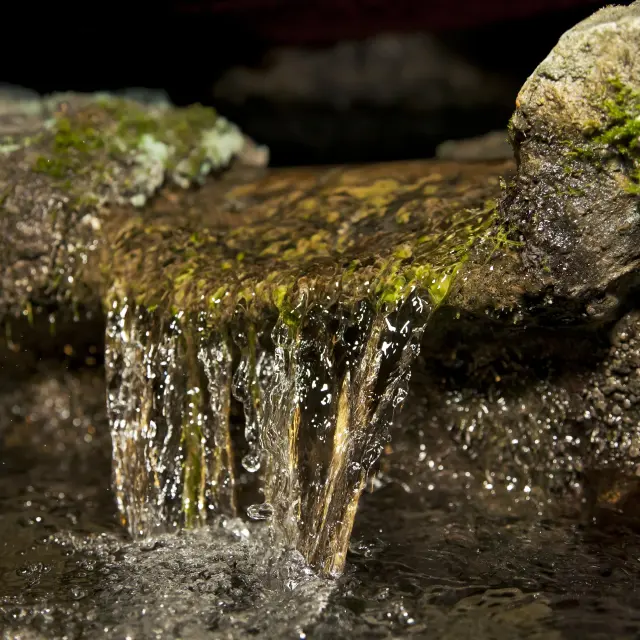 Source de la Grotte de Lourdes