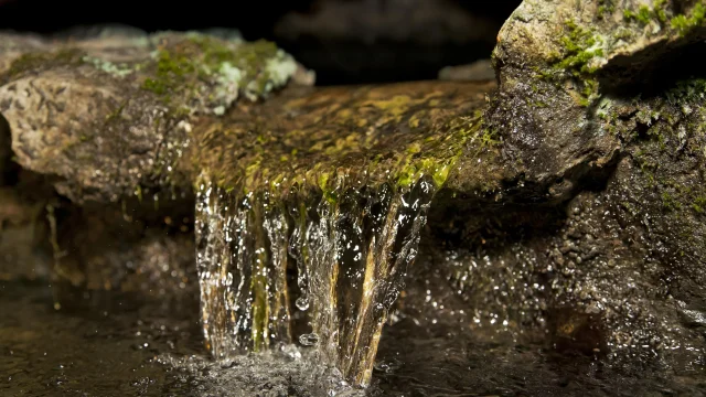 Source de la Grotte de Lourdes