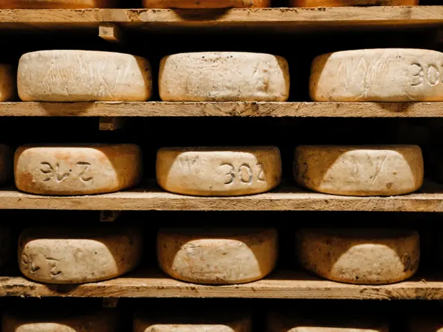 Lourdes Ferme Sayous Fromages Alexandre Le Bris Elisa Bonneau Les Paresseux Curieux