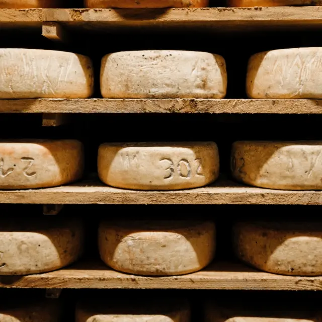 Lourdes Ferme Sayous Fromages Alexandre Le Bris Elisa Bonneau Les Paresseux Curieux