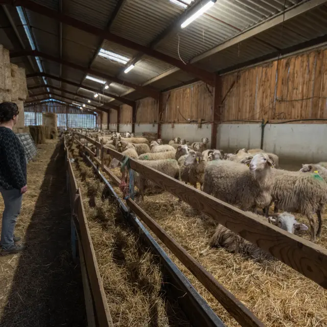 Ferme Des Hourcades Corinne Escaich Le Boudu Monde