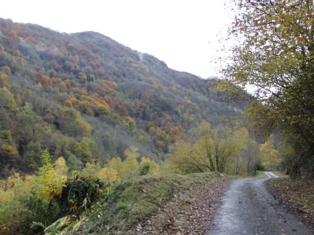 Voie Verte Pierrefitte Cauterets 1200x799 Plvg Altamonta 1