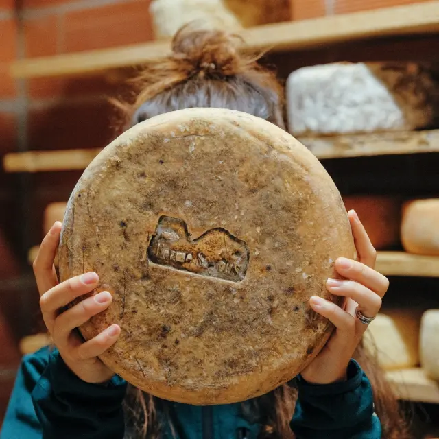 Lourdes Ferme Sayous Fromage Tomme Alexandre Le Bris Elisa Bonneau Les Paresseux Curieux