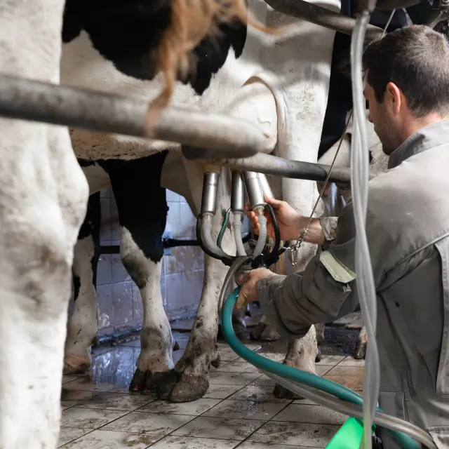 Ferme Sayous 25 Morgane Maunas