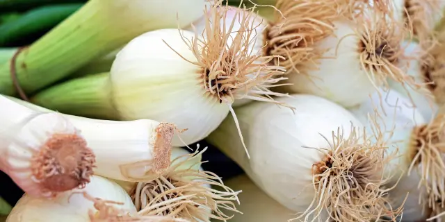Couleur Onion 1415814 Pixabay Couleurs